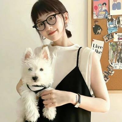 末代独裁 海报