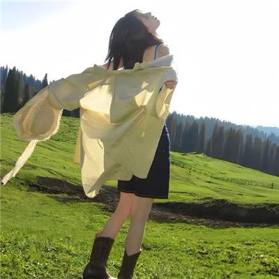 荒野五侠客 海报